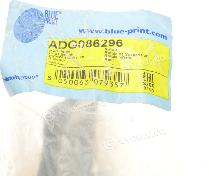 Blue Print ADG086296