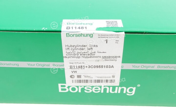 Borsehung B11481