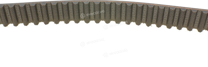 Continental CT1064WP2