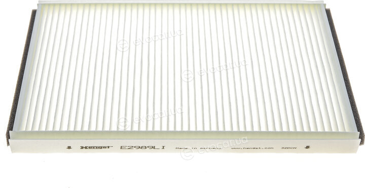 Hengst E2989LI