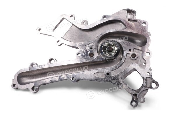Hepu P1527