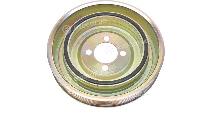 Dayco DPV1020