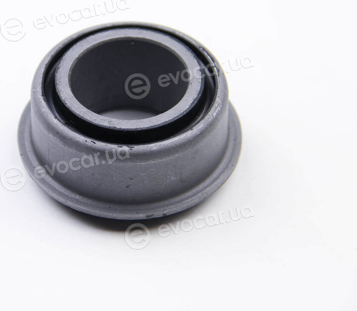 BC Guma 0831