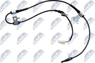 NTY HCA-SU-031