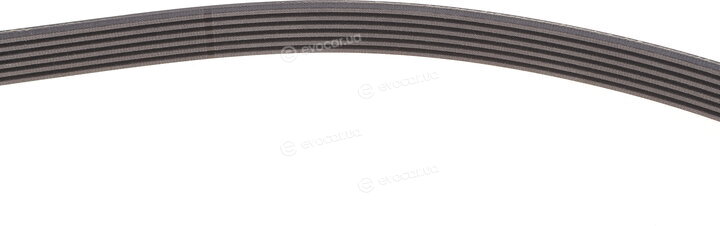 Continental 6PK1073 EXTRA K1