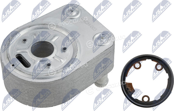 NTY CCL-CH-003