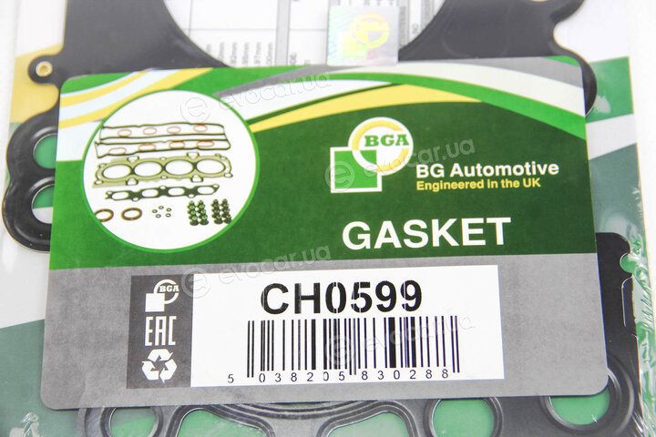 BGA CH0599
