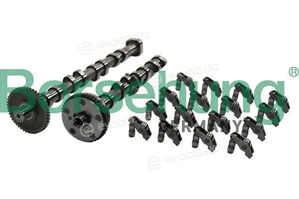 Borsehung B12995