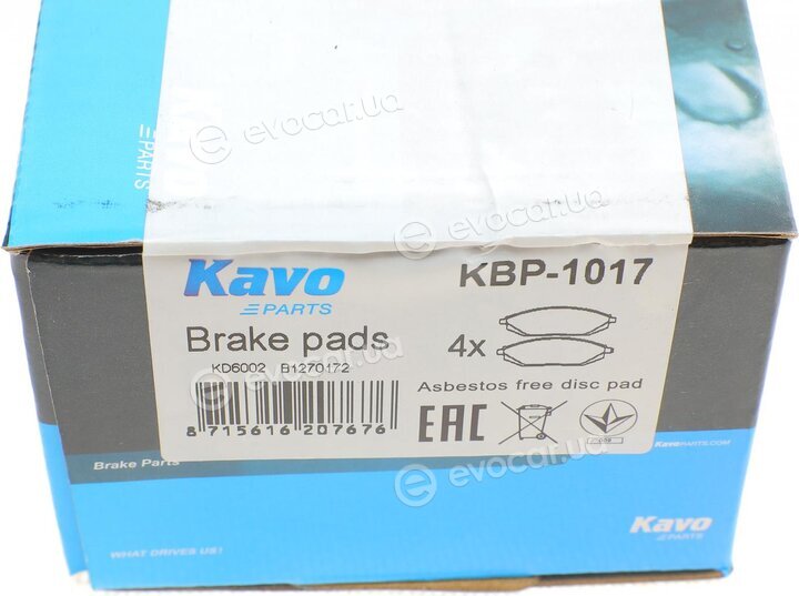 Kavo KBP-1017