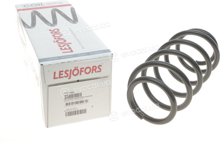 Lesjofors 4063463