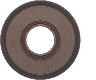 Elring B10.810