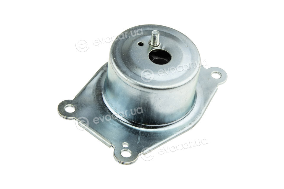 NTY ZPS-PL-031