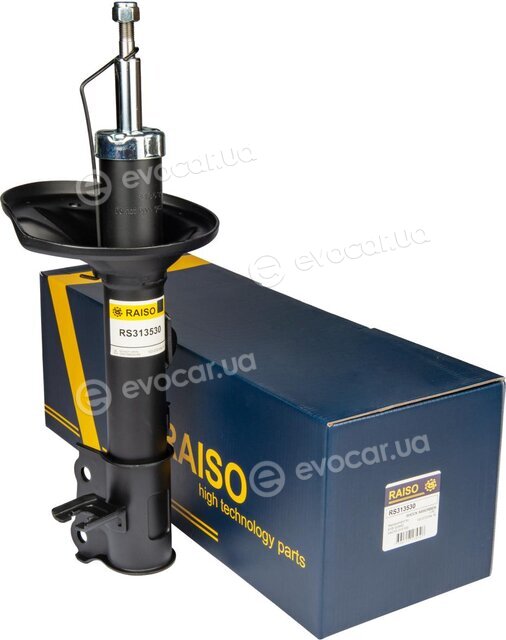 Raiso RS313530