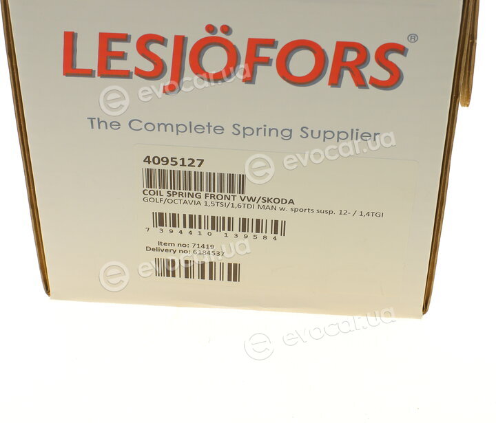 Lesjofors 4095127