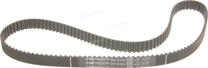 Gates K025581XS