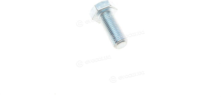 Solgy 203084