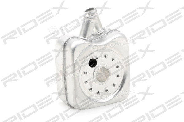 Ridex 469O0002