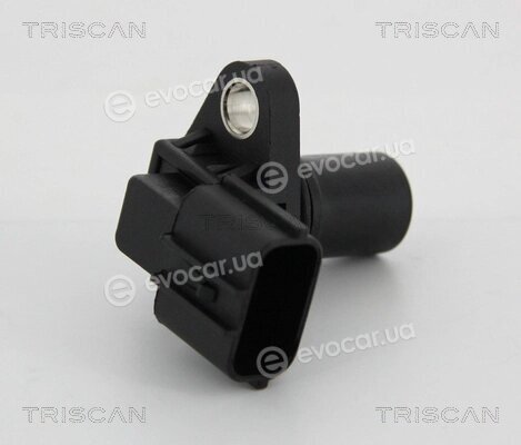 Triscan 8855 24120