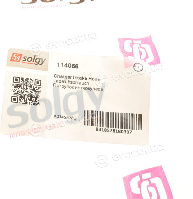 Solgy 114066