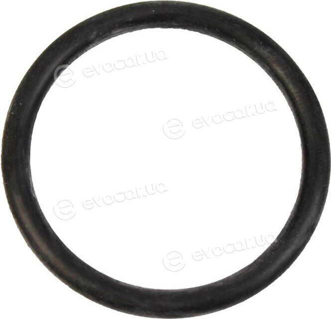Mopar (PSA / FCA) 0365.20