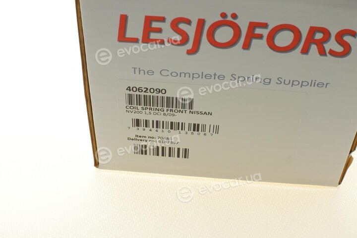 Lesjofors 4062090