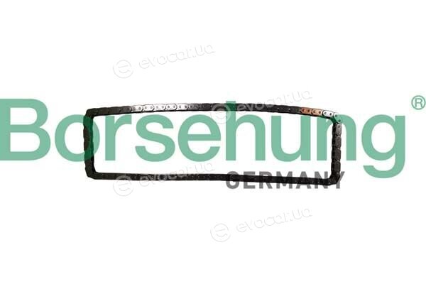 Borsehung B12783
