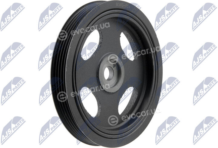NTY RKP-MS-004