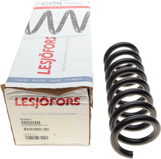 Lesjofors 4256877