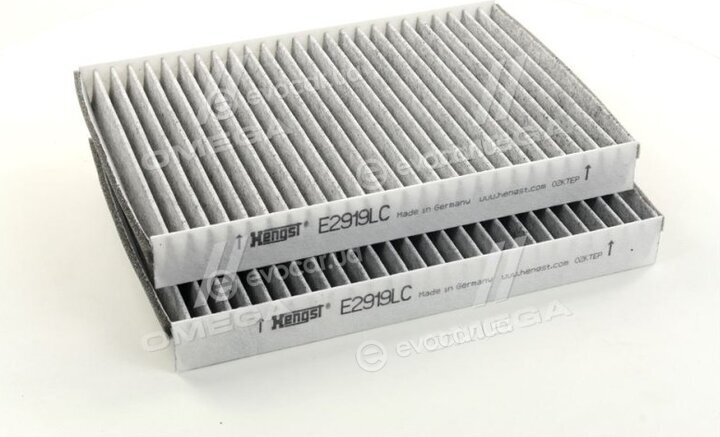Hengst E2919LC-2
