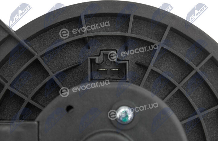 NTY EWN-MS-003
