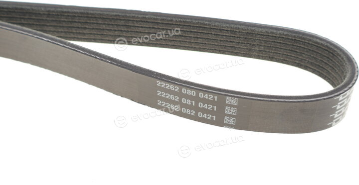 Dayco KPV288