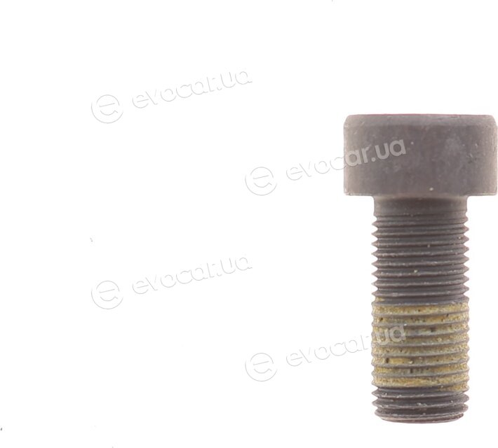 Sachs 1874 000 090