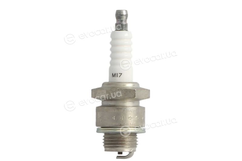 Denso M17