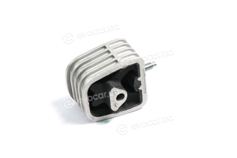 Sasic 9002501