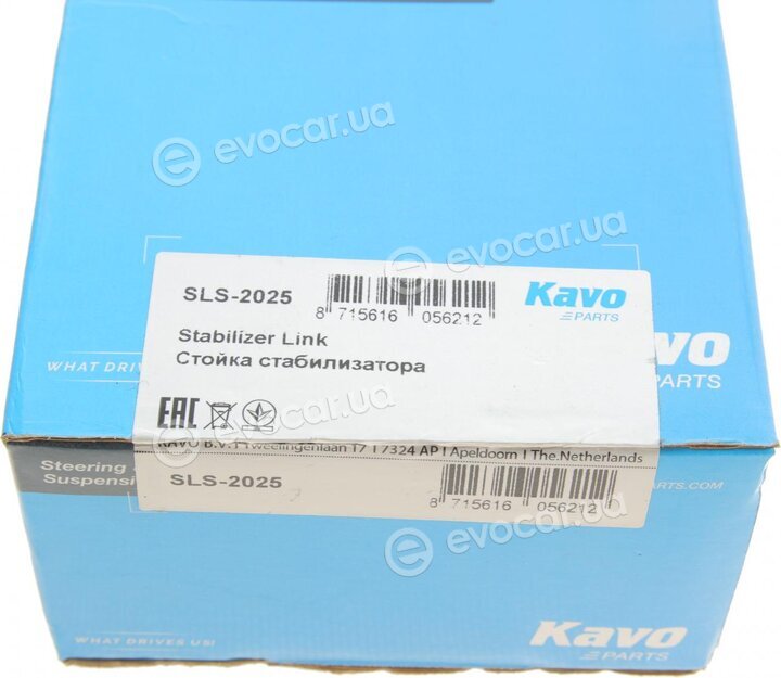 Kavo SLS-2025