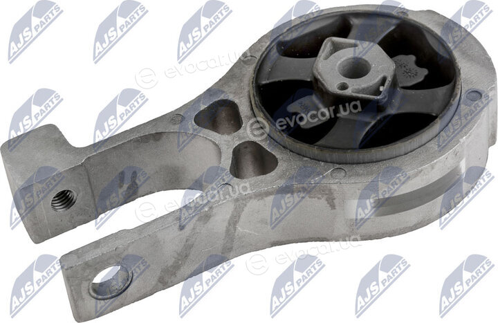 NTY ZPS-CT-011