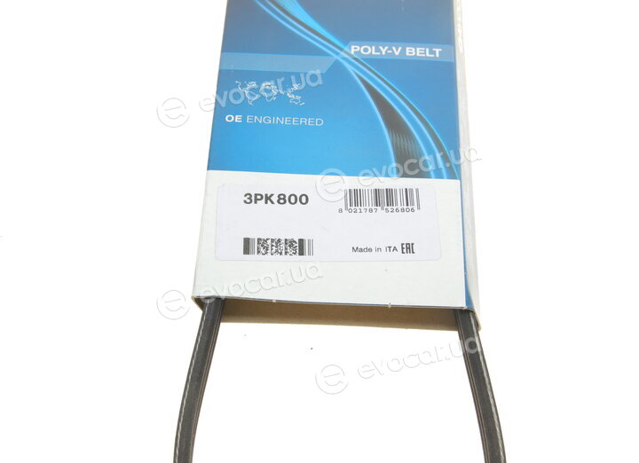 Dayco 3PK800