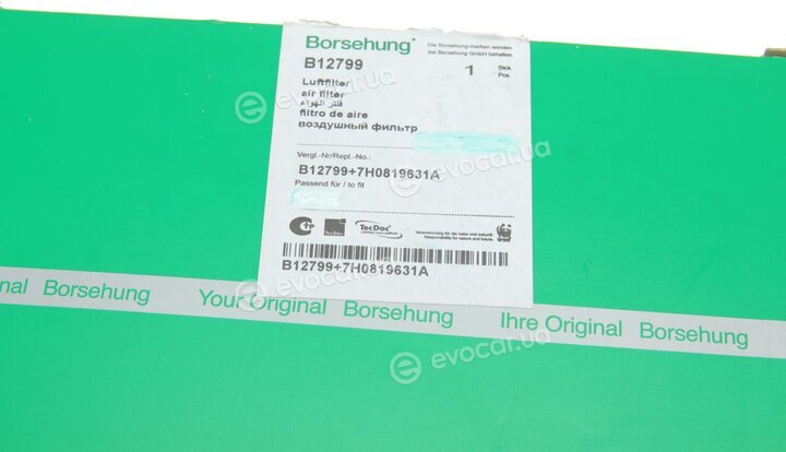 Borsehung B12799