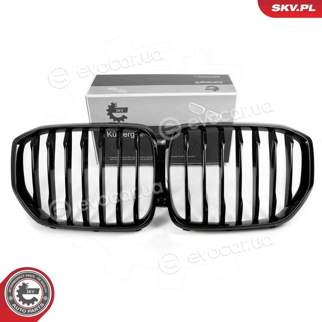 SKV 66SKV300