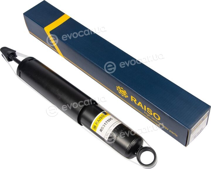 Raiso RS317595
