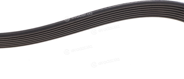 Gates 7PK1153
