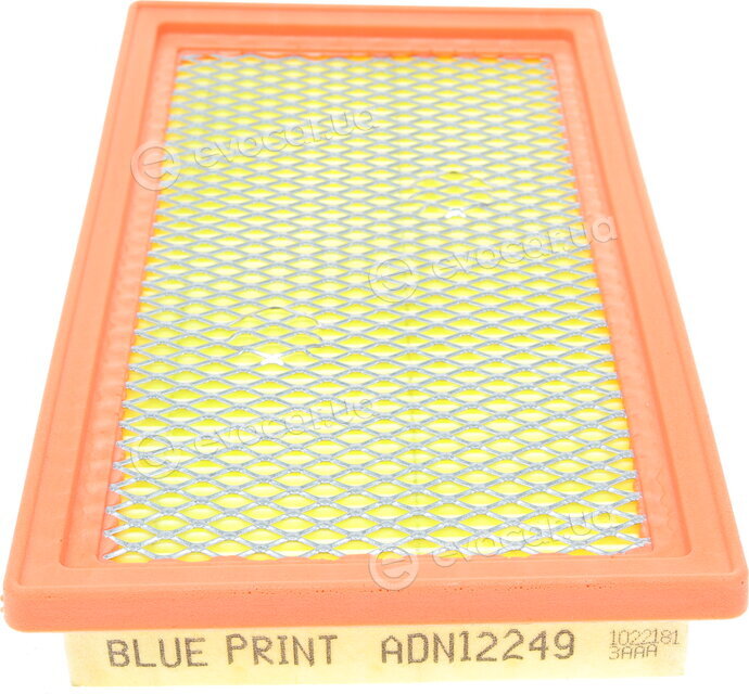 Blue Print ADN12249