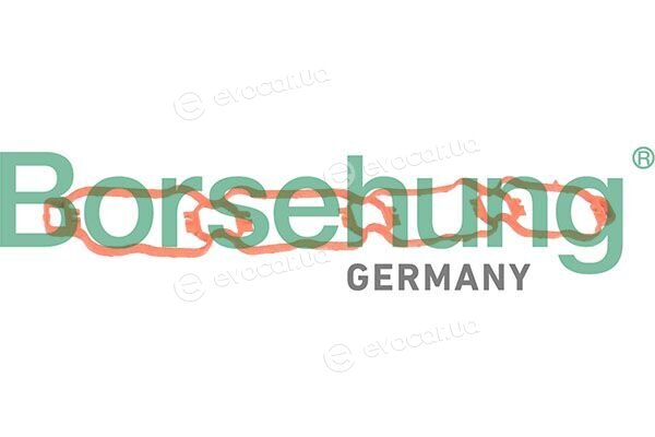 Borsehung B13262