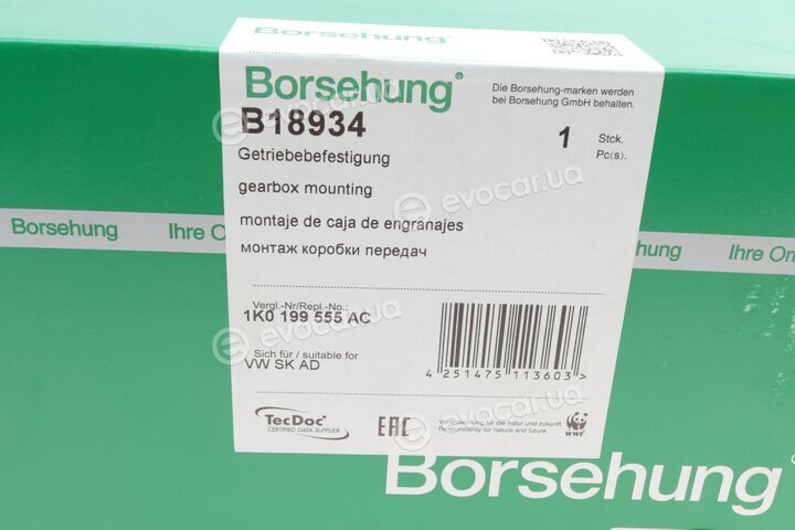 Borsehung B18934