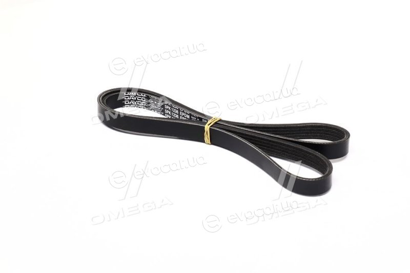 Dayco 5PK1236EE