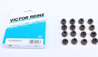 Victor Reinz 12-54024-01