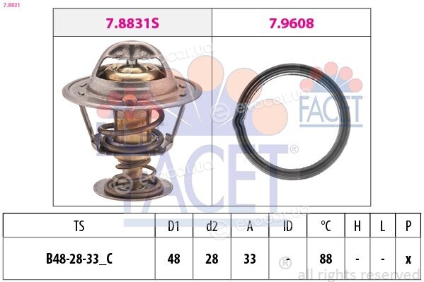 Facet 7.8831