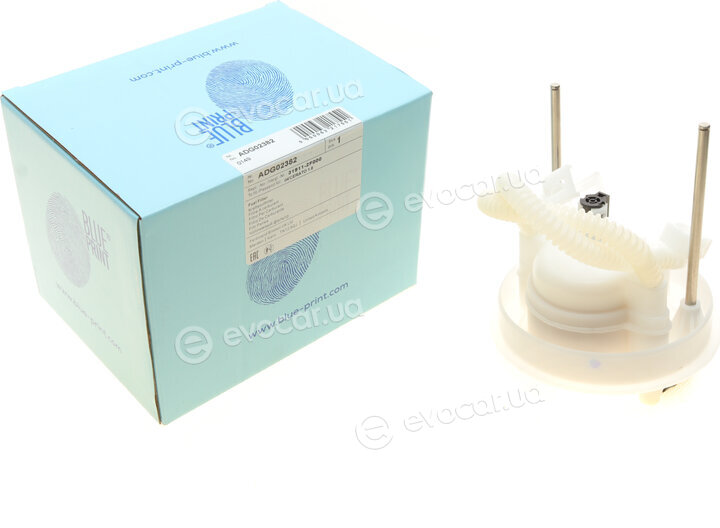 Blue Print ADG02382