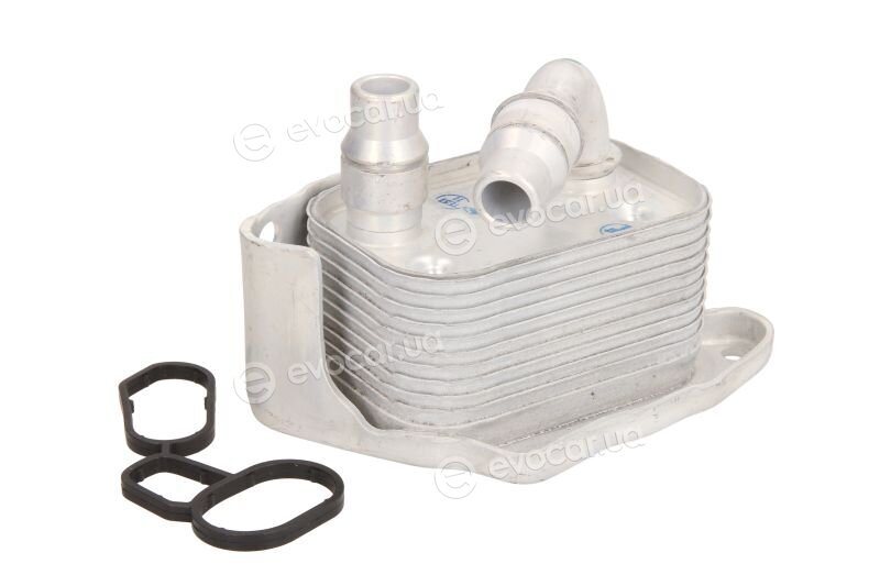 Thermotec D4B006TT