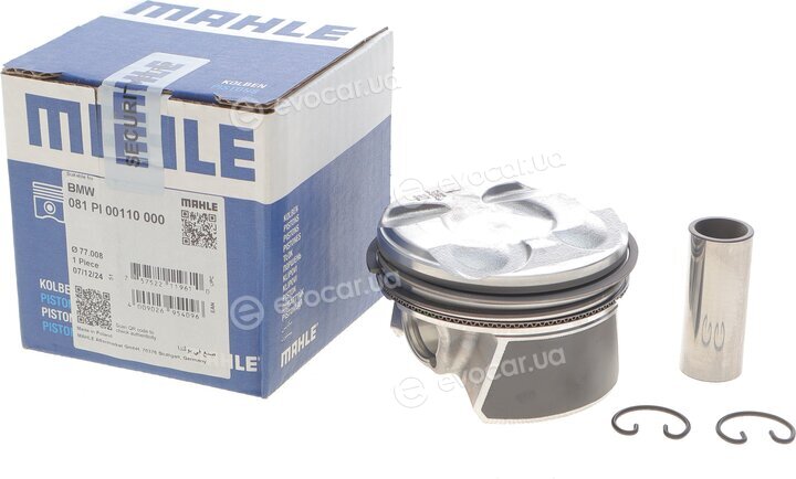 Mahle 081 PI 00110 000